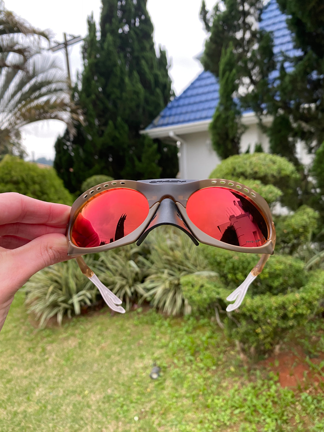 Óculos de Sol Plantaris Premium Matte Torch - SALE