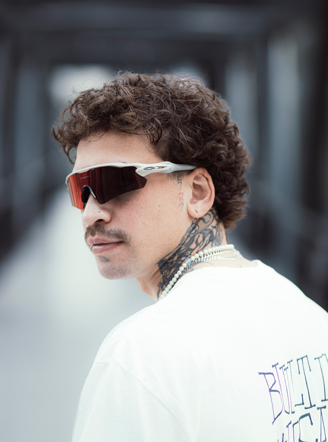 Banner da coleção Plantaris